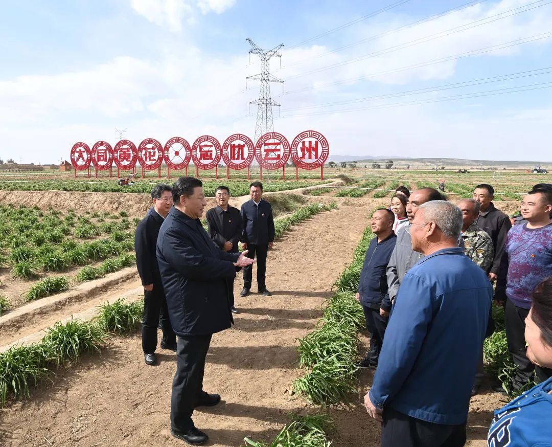 2020年5月11日，習(xí)近平考察山西大同市云州區(qū)有機黃花標(biāo)準(zhǔn)化種植基地。新華社記者 李學(xué)仁 攝