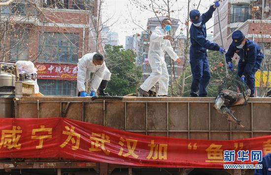 3月13日，一批運(yùn)到湖北省武漢市硚口區(qū)華生漢口城市廣場社區(qū)的活魚在卸貨。當(dāng)日，首批100噸調(diào)配自咸寧市的活魚運(yùn)抵武漢市硚口區(qū)11個街道下轄社區(qū)。 新華社記者 程敏 攝